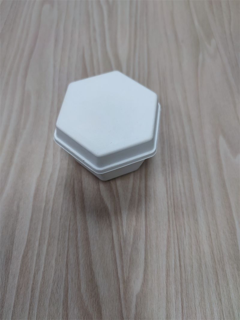 濕壓3C產品紙托 (30)