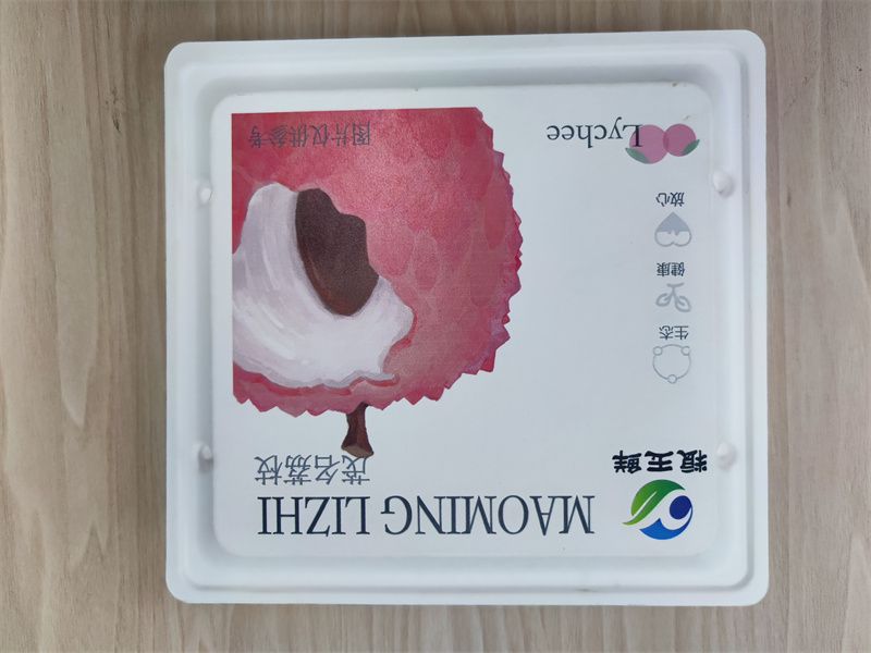 濕壓水果、茶葉、月餅紙托 (2)